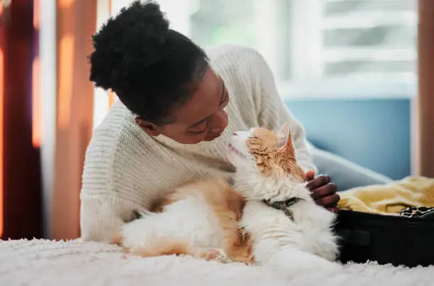 Quelles sont les différences entre les gamelles pour chats et pour chiens ?